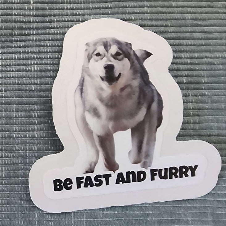 Face Stickers﹘ Die-Cut Stickers﹘US