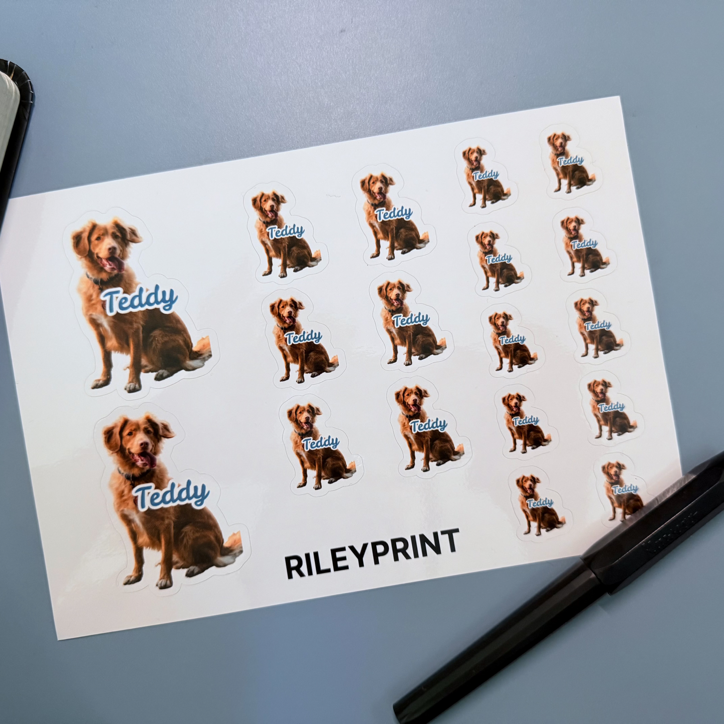 Sticker Sheets﹘Face Stickers﹘CA